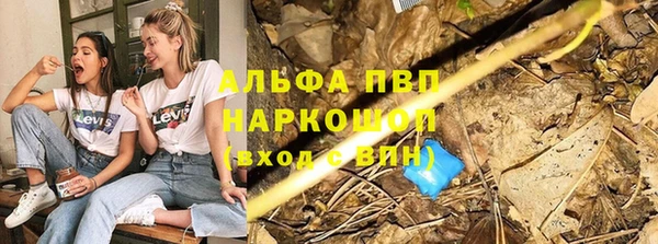 кокс Корсаков