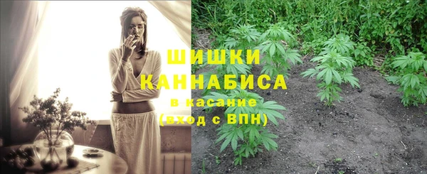 кокс Корсаков
