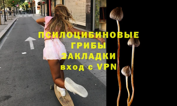 молекула духа Коряжма
