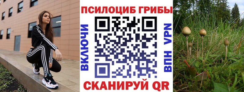 Купить закладки  Кяхта  Галлюциногенные грибы ЛСД 